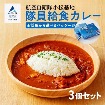 ふるさと納税 小松市 航空自衛隊 小松基地 隊員給食カレー 選べるパッケージ 3個セット 航空機 レトルトカレー