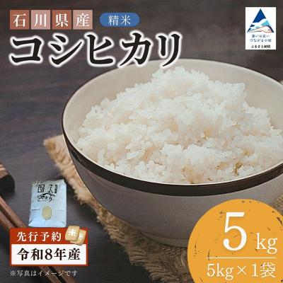 ふるさと納税 小松市 [先行予約]令和8年産 石川県産コシヒカリ 精米 5kg(5kg×1袋) 白米 こしひかり