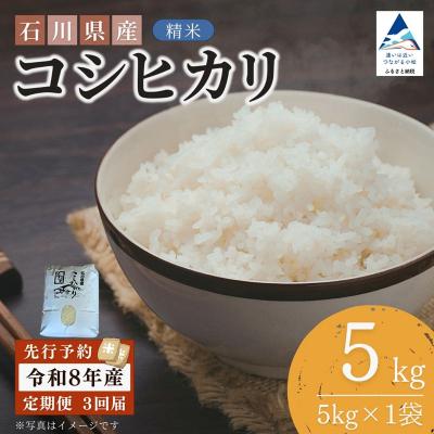 ふるさと納税 小松市 [先行予約][3ヶ月定期便]令和8年産 石川県産コシヒカリ 精米 計5kg(5kg×1袋)×3回便