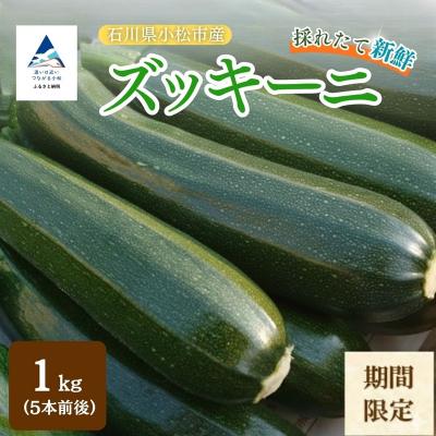 ふるさと納税 小松市 ズッキーニ 約1kg (5本前後) ずっきーに 小松市産