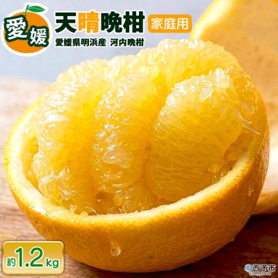 ふるさと納税 西予市 先行受付<天晴晩柑(河内晩柑)家庭用 約1.2kg 笑丸 愛媛県 柑橘