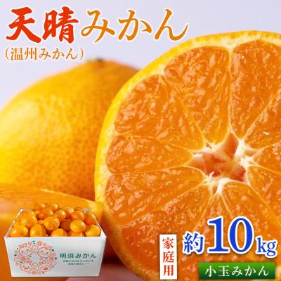 ふるさと納税 西予市 先行予約<天晴みかん(温州みかん)約10kgS〜L混合> 家庭用 訳あり愛媛