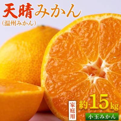 ふるさと納税 西予市 先行予約<天晴みかん 小玉(温州みかん)約15kgS〜L混合> 家庭用 訳あり愛媛
