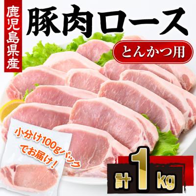ふるさと納税 曽於市 鹿児島県産豚肉ロースとんかつ(100g×10P)