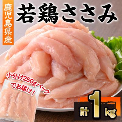 ふるさと納税 曽於市 鹿児島県産若鶏ささみ(250g×4P)