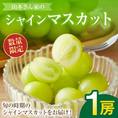 ふるさと納税 八代市 [先行予約]山本さん家のシャインマスカット 約500g[2026年8月上旬より順次発送]