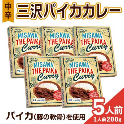 ふるさと納税 三沢市 三沢パイカカレー・中辛(5個セット)