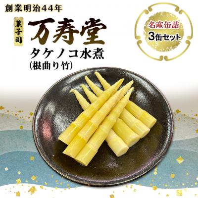 ふるさと納税 羽後町 名産缶詰 タケノコ水煮(根曲り竹)3缶セット