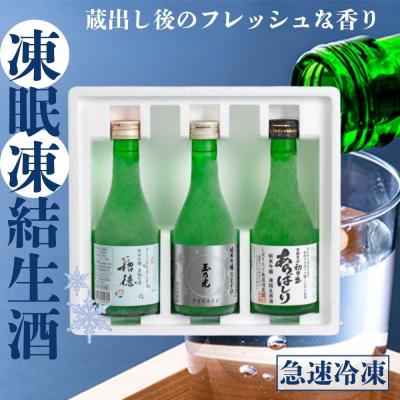 ふるさと納税 京都市 京都 凍眠凍結生酒 飲み比べ3本セット 300ml×3本|冷凍 日本酒 人気セット