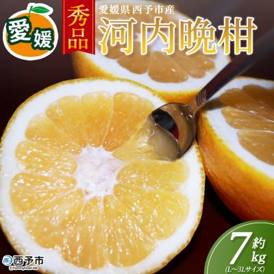 ふるさと納税 西予市 <秀品 河内晩柑 (L〜3Lサイズ) 約7kg>かわちばんかん 愛媛 丸二青果