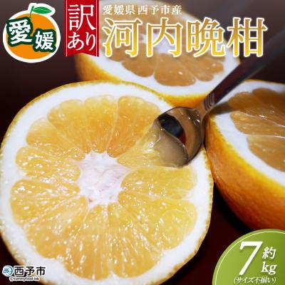 ふるさと納税 西予市 <訳アリ河内晩柑 (サイズ混合) 約7kg>かわちばんかん 愛媛 丸二青果