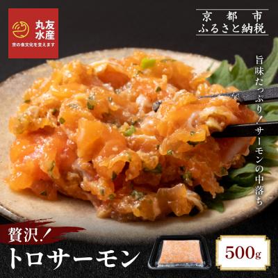 ふるさと納税 京都市 [丸友水産]トロサーモン 500g|京都 トロサーモン ノルウェー産