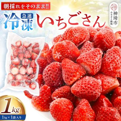 ふるさと納税 神埼市 冷凍いちご 1kg(いちごさん)(H126101)