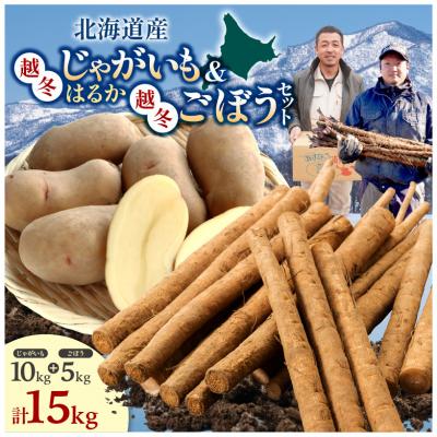 ふるさと納税 清水町 北海道産 越冬じゃがいも10kgと越冬ごぼう5kgセット