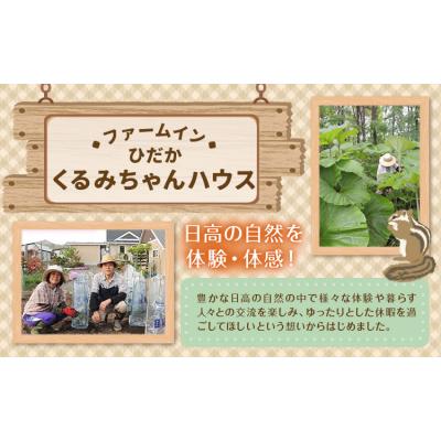 ふるさと納税 日高町 ひだかくるみちゃんハウス 1棟貸切り 宿泊券 1泊 2名様[30日以内に出荷予定(土日祝除く)]
