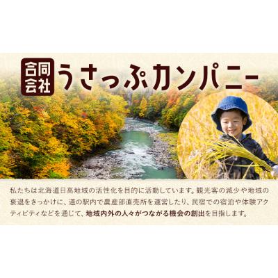 ふるさと納税 日高町 激流 ラフティング体験ツアー 半日コース 1名様[30日以内に出荷予定(土日祝除く)]