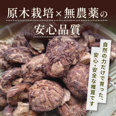 ふるさと納税 設楽町 栽培期間中農薬不使用 原木栽培 とよくに清流 ほししいたけ 40g 椎茸 |  | 01