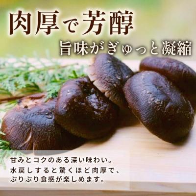 ふるさと納税 設楽町 栽培期間中農薬不使用 原木栽培 とよくに清流 ほししいたけ 40g 椎茸 |  | 02