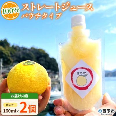 ふるさと納税 西予市 <100%ストレートジュース パウチタイプはるか 160ml×2個>愛媛 渡江