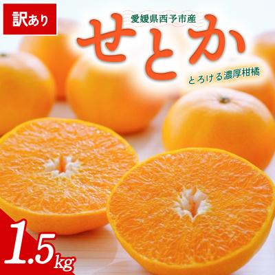 ふるさと納税 西予市 <訳あり 愛媛県産せとか 合計約1.5kg>ご自宅用 愛媛 ミヤモトオレンジガーデン
