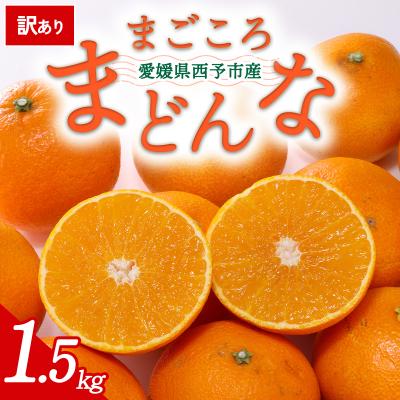 ふるさと納税 西予市 [先行受付]<訳あり 愛媛県産 まごころまどんな 合計約1.5kg> 愛媛 ミヤモトオレンジガーデン