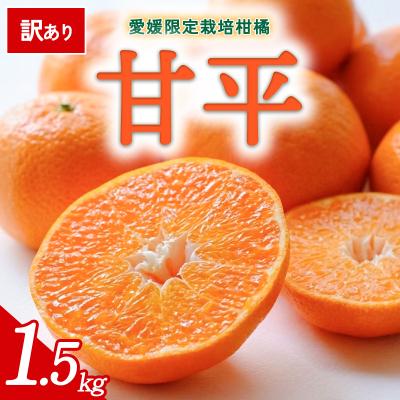 ふるさと納税 西予市 [先行受付]<訳あり 甘平 愛媛限定高級柑橘 合計約1.5kg> 愛媛 ミヤモトオレンジガーデン