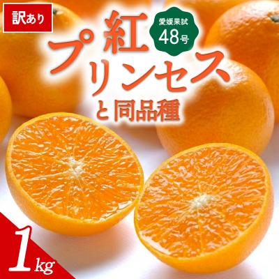 ふるさと納税 西予市 [先行受付]<訳あり 愛媛県産 愛媛果試48号 合計約1kg> 愛媛ミヤモトオレンジガーデン
