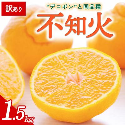 ふるさと納税 西予市 [先行受付]<訳あり 愛媛県産 不知火 合計約1.5kg> 愛媛 ミヤモトオレンジガーデン