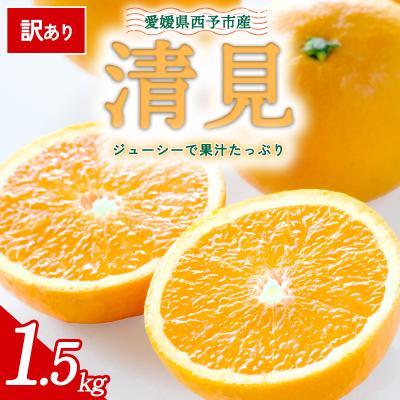 ふるさと納税 西予市 [先行予約]<訳あり 愛媛県産 清見 合計約1.5kg> 愛媛 ミヤモトオレンジガーデン