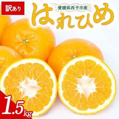 ふるさと納税 西予市 [先行受付]<訳あり 愛媛県産 はれひめ 合計約1.5kg>愛媛 ミヤモトオレンジガーデン