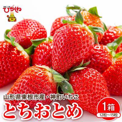 ふるさと納税 東根市 [2027年産]神町いちご(とちおとめ)12粒〜15粒 山形県 東根市 hi069-015-r9