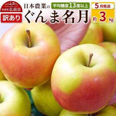 ふるさと納税 弘前市 りんご ぐんま名月 約3kg 訳あり[CA貯蔵]|24_nng-090301al