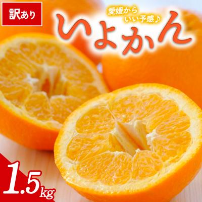ふるさと納税 西予市 [先行受付]<訳あり 愛媛県産 いよかん 合計約1.5kg> 愛媛 ミヤモトオレンジガーデン