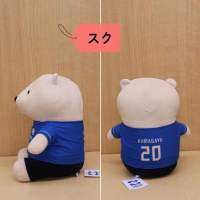 ふるさと納税 熊谷市 スクマムぬいぐるみ(スク)_1