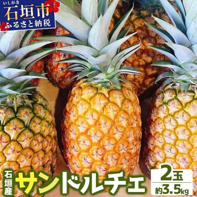 ふるさと納税 石垣市 <先行予約> 農家直送!石垣島産サンドルチェ 2個セット 約3.5kg <2026年4月中旬発送>