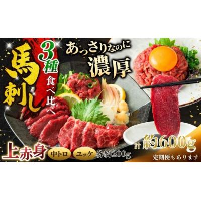 ふるさと納税 伊那市 馬刺し 3種食べ比べ約600g( 上赤身 ・ 霜降り・ユッケ 各約200g )[017-29]