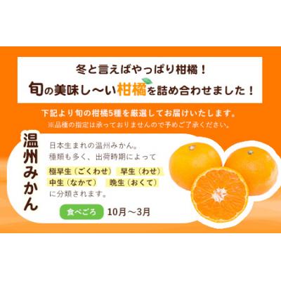 ふるさと納税 氷川町 [先行予約]柑橘詰め合わせセット(5種類・10kg以上) 山本果樹園[12月上旬-1月上旬頃出荷]