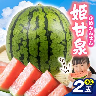 ふるさと納税 五所川原市 [先行受付] 小玉スイカ 姫甘泉 2玉 [7月下旬以降順次発送] 青森県 五所川原市 すいか 西瓜