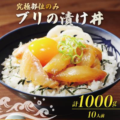 ふるさと納税 愛南町 希少部位のみ ブリの漬け丼 100g×10p 有限会社ハマスイ