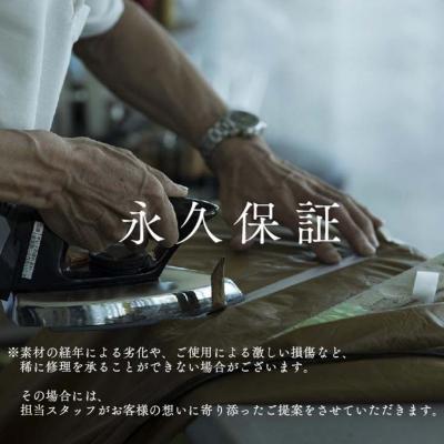 ふるさと納税 三条市 スノーピーク ソリッドステークデルタ 30 10本