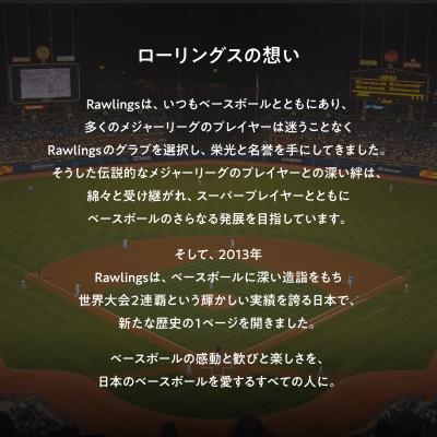 ふるさと納税 三宅町 ローリングス (Rawlings) 硬式 捕手 グローブ 小さめ 日本製 ベースボール:バーガンディ