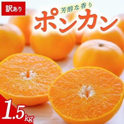 ふるさと納税 西予市 [先行受付]<訳あり 愛媛県産 ポンカン 合計約1.5kg> 愛媛 ミヤモトオレンジガーデン