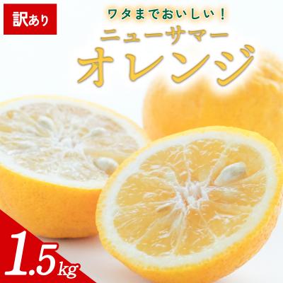 ふるさと納税 西予市 [先行受付]<訳あり 愛媛県産 ニューサマーオレンジ 約1.5kg>愛媛 ミヤモトオレンジガーデン