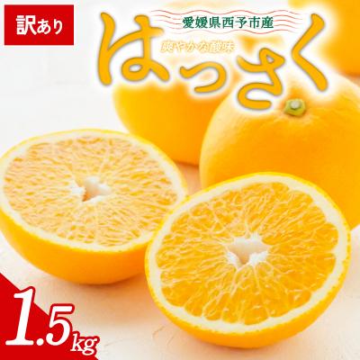 ふるさと納税 西予市 [先行受付]<訳あり 愛媛県産 八朔 合計約1.5kg>愛媛 ミヤモトオレンジガーデン
