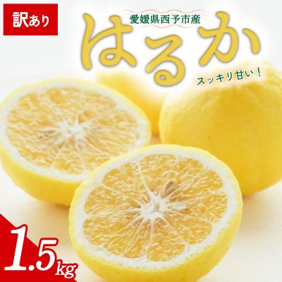ふるさと納税 西予市 [先行受付]<訳あり 愛媛県産 はるか 合計約1.5kg> 愛媛 ミヤモトオレンジガーデン