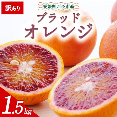 ふるさと納税 西予市 <訳あり 愛媛県産 ブラッドオレンジ 合計約1.5kg> 愛媛 ミヤモトオレンジガーデン