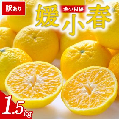 ふるさと納税 西予市 [先行受付]<訳あり 愛媛県産 媛小春 合計約1.5kg> 愛媛 ミヤモトオレンジガーデン
