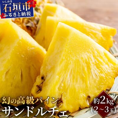 ふるさと納税 石垣市 石垣島産 高級パイン サンドルチェ 約2kg (2〜3玉) JAおきなわ <2026年6月順次発送>