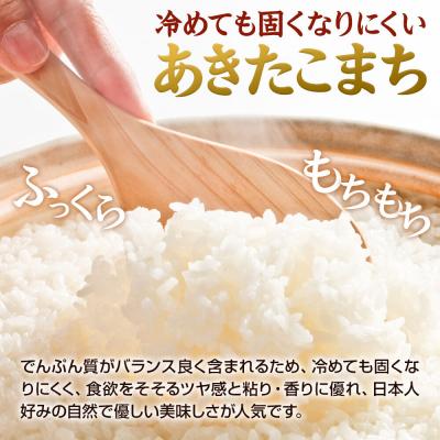 ふるさと納税 男鹿市 あきたこまち 5kg(5kg×1袋) 令和7年産 【定期便5ヶ月】 米|23_fjk-010505