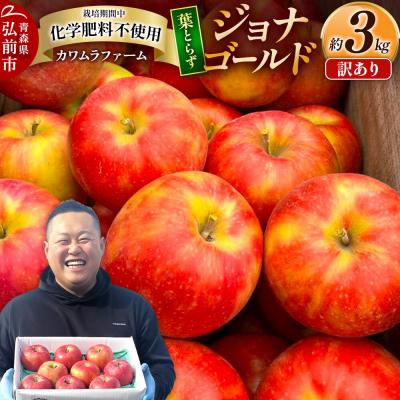 ふるさと納税 弘前市 [26年10月発送]りんご 葉とらず ジョナゴールド[訳あり]約3kg|24_kmf-210301